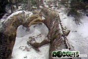 Uova fatali, serpente ed iguana - © LesROCKETS.com