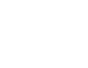 Fabrice salute