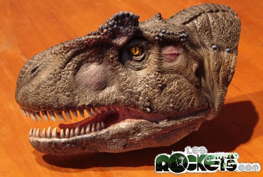 Allosaurus by Victor Togliani - © LesROCKETS.com